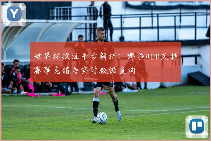 世界杯投注平台解析:哪些app支持赛事竞猜与实时数据查询
