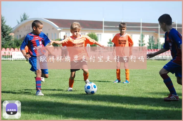 欧洲杯购票支付宝支付可行吗