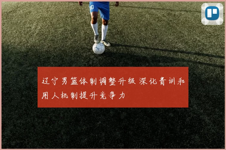 辽宁男篮体制调整升级 深化青训和用人机制提升竞争力