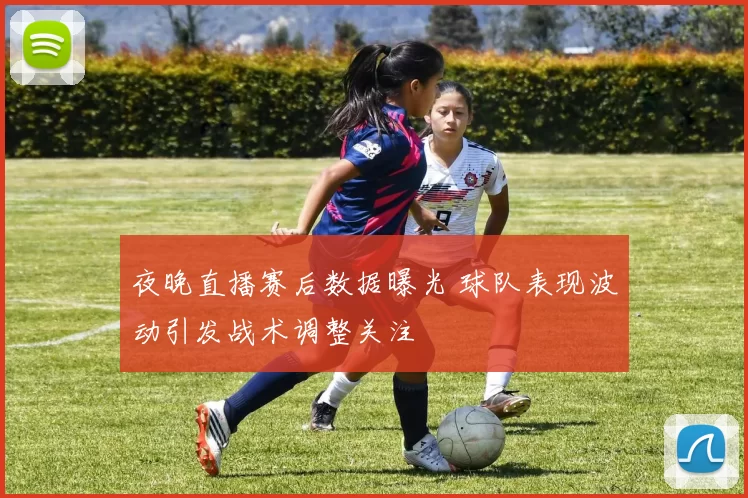 夜晚直播赛后数据曝光 球队表现波动引发战术调整关注
