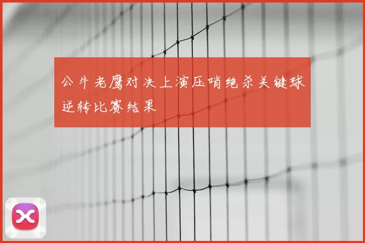 公牛老鹰对决上演压哨绝杀关键球逆转比赛结果