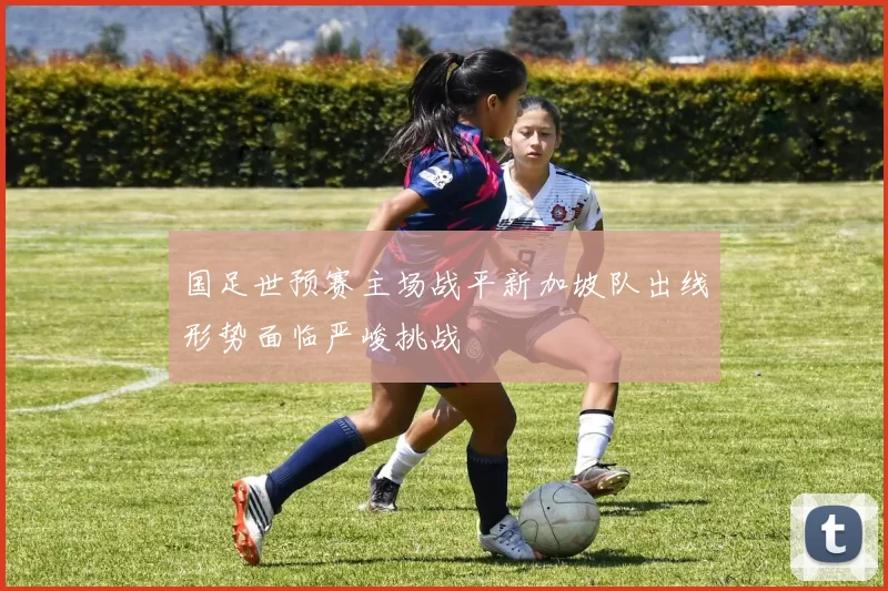 国足世预赛主场战平新加坡队出线形势面临严峻挑战